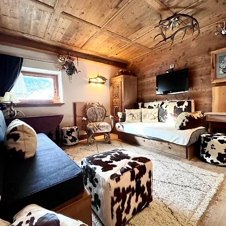 公寓 Ciasa De Len Cortina *