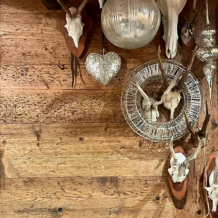 Ciasa De Len Cortina 公寓